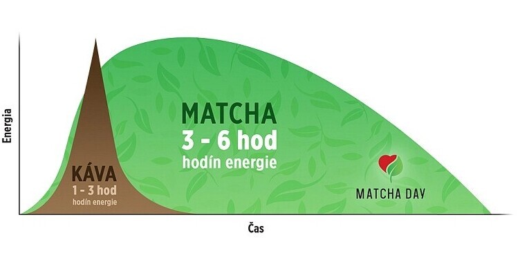 Matcha vs Káva